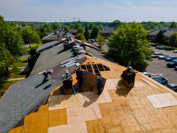 Trusted Stacy, MN Roofing Contractor Experts