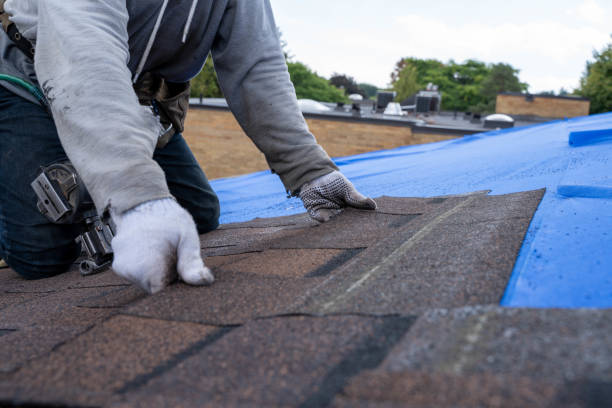 Best New Roof Installation  in Stacy, MN